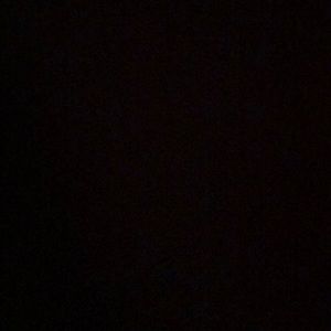 Meet your Posher, Natasha